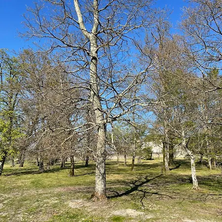 Villa Le Petit Puy Berson